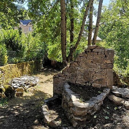 Maison Traditionnelle En Lozere Saint-Saturnin  外观 照片