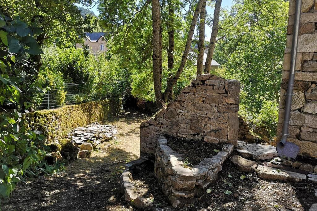 Maison Traditionnelle En Lozere Saint-Saturnin  外观 照片